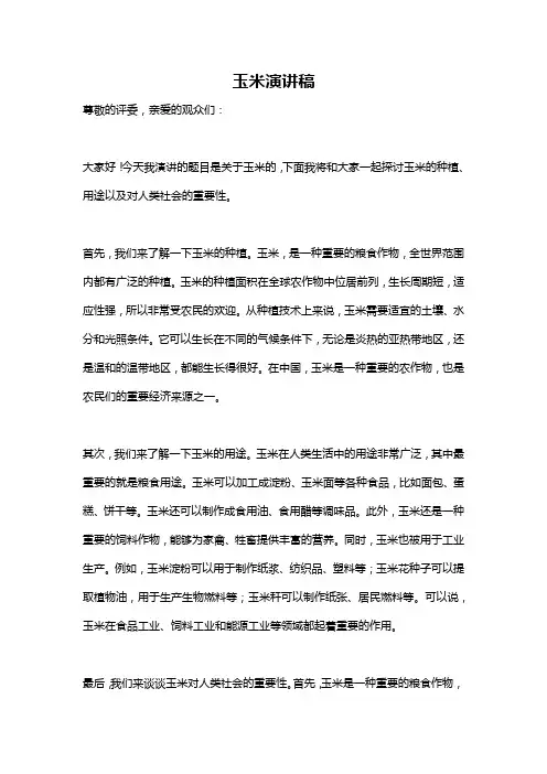 玉米演讲稿