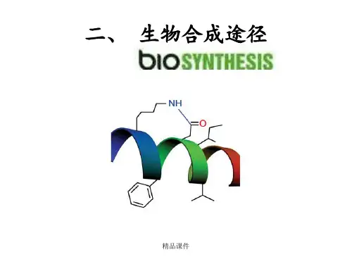 生物合成途径