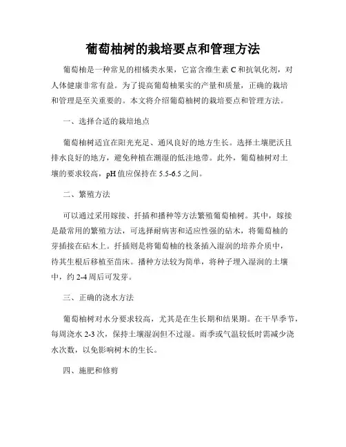 葡萄柚树的栽培要点和管理方法