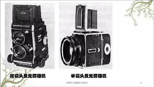 照相机与眼睛视力的矫正课件