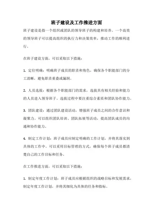 班子建设及工作推进方面