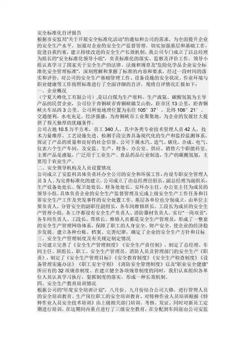 安全标准化自评报告