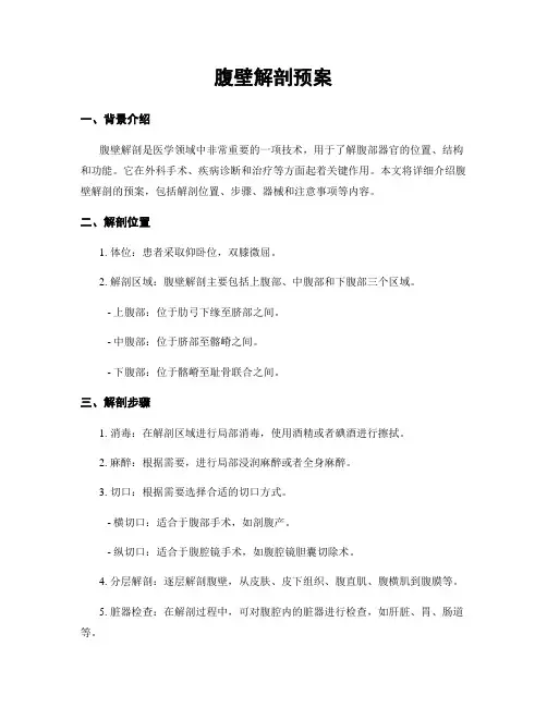 腹壁解剖预案