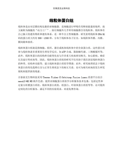 线粒体蛋白组