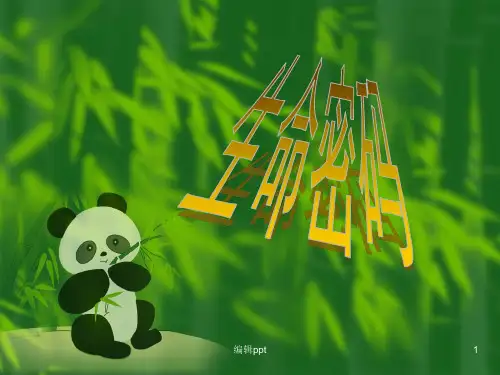 生命密码与健康