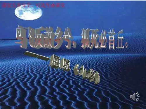 九年级语文乡愁2          张玲