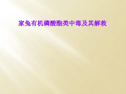 家兔有机磷酸酯类中毒及其解救