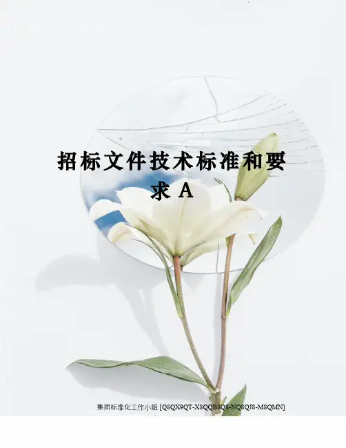 招标文件技术标准和要求A