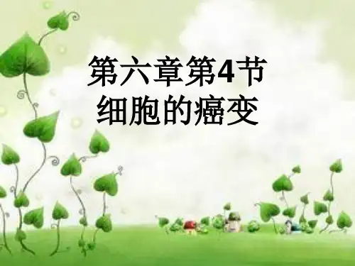人教版高中生物必修1第六章细胞的癌变(课件41张(共41张PPT)