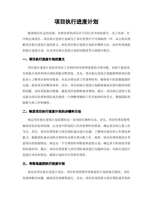 项目执行进度计划