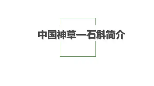 中国神草-石斛简介PPT