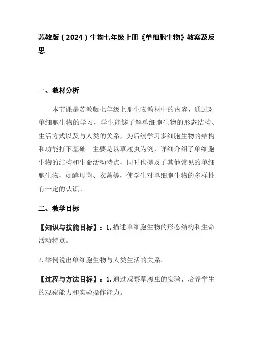 苏教版生物(2024)七年级上册-1.2.2单细胞生物教案