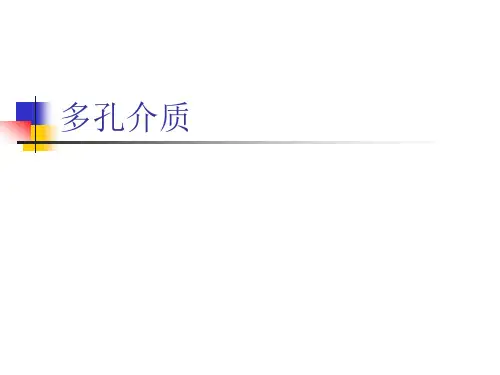 多孔介质模型