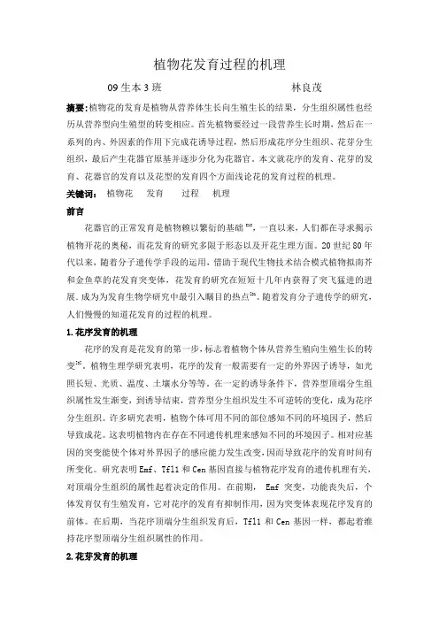 花的发育