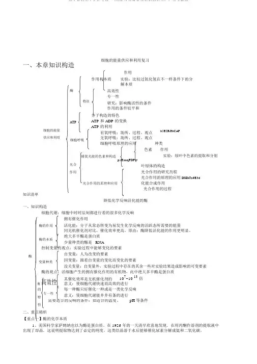 新人教版高中生物必修1《细胞的能量供应和利用复习》知识点整理