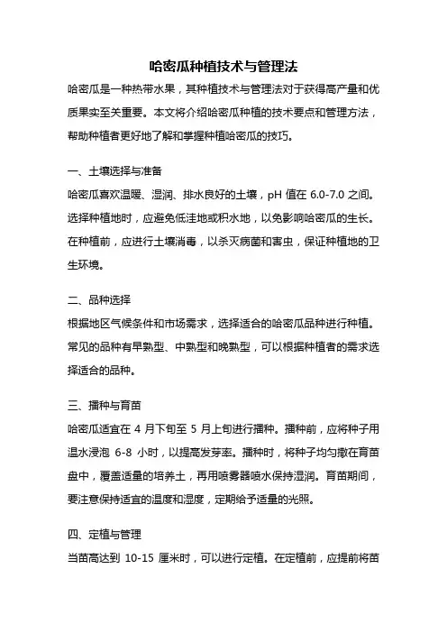 哈密瓜种植技术与管理法