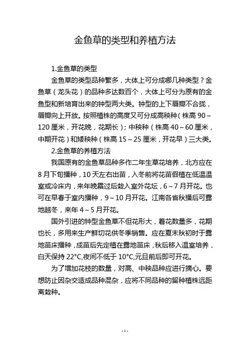 金鱼草的类型和养植方法
