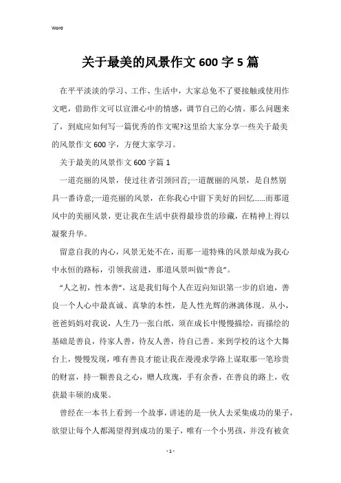 关于最美的风景作文600字5篇