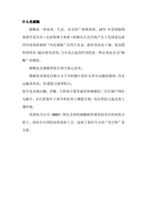 碳酶是什么