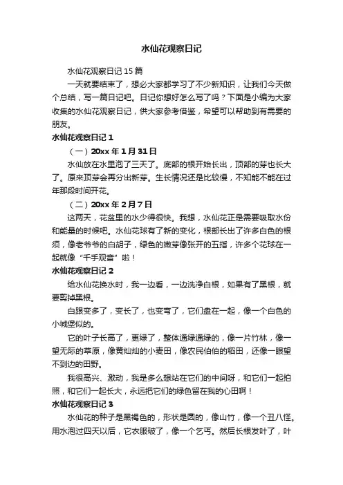 水仙花观察日记15篇