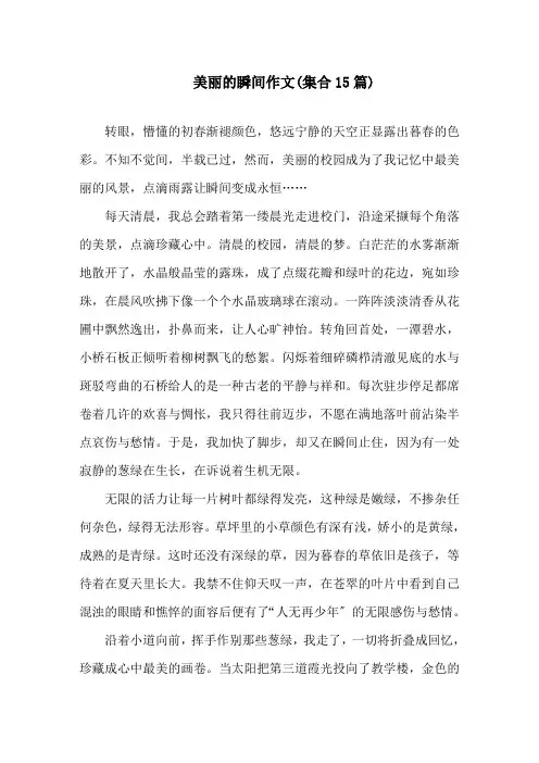 美丽的瞬间作文(集合15篇)精选
