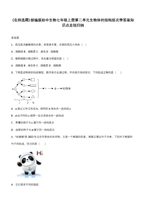 部编版初中生物七年级上册第二单元生物体的结构层次带答案知识点总结归纳