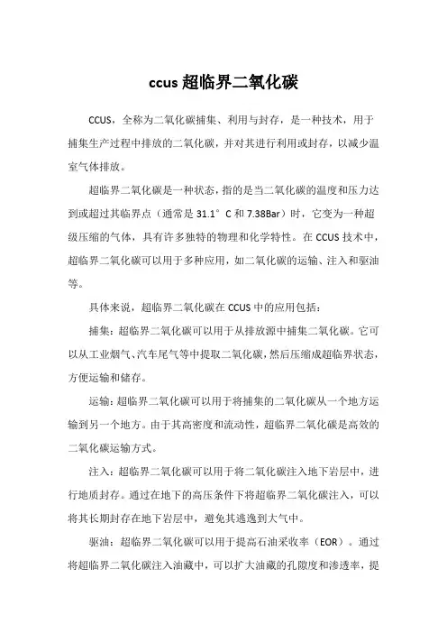 ccus超临界二氧化碳