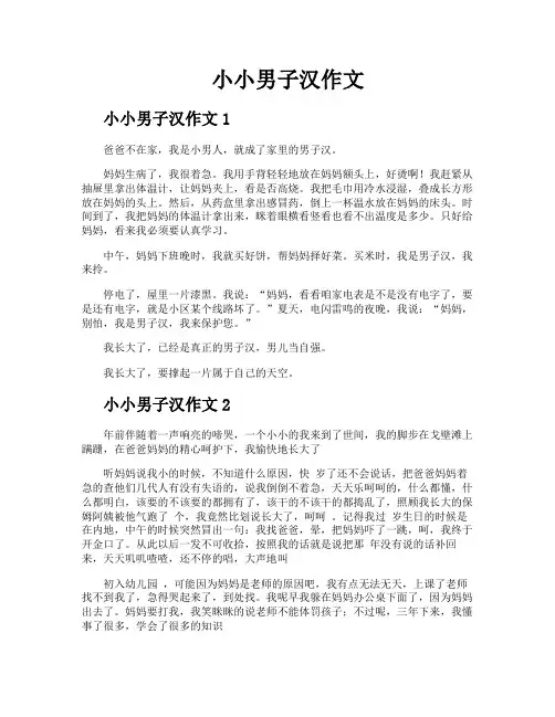 小小男子汉作文