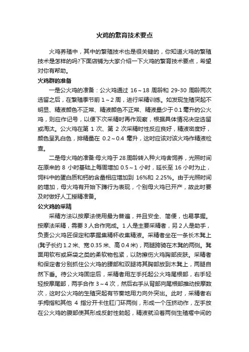 火鸡的繁育技术要点