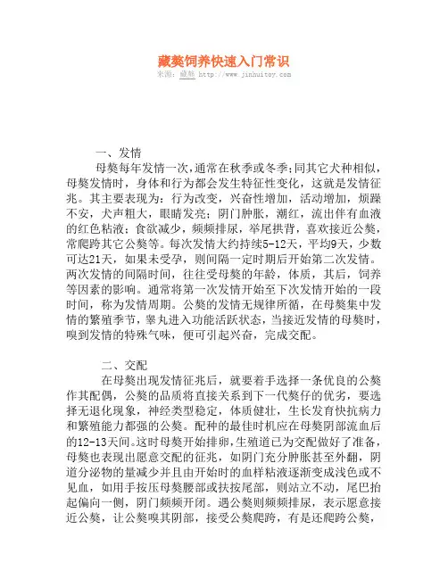 藏獒饲养快速入门常识