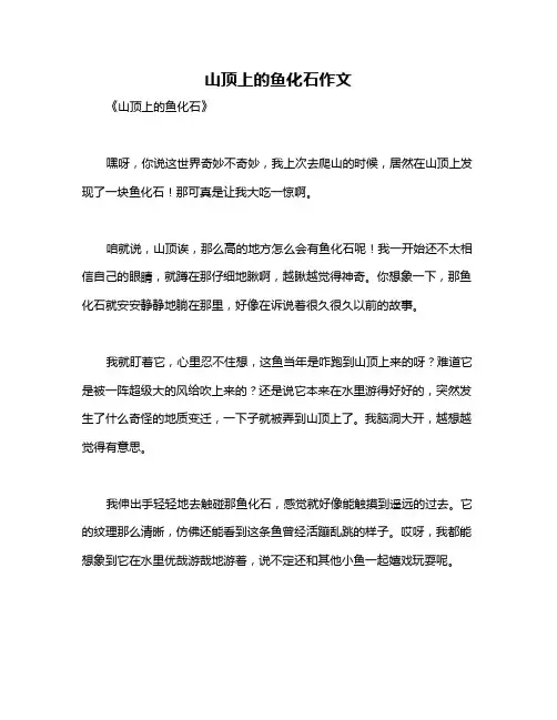 山顶上的鱼化石作文