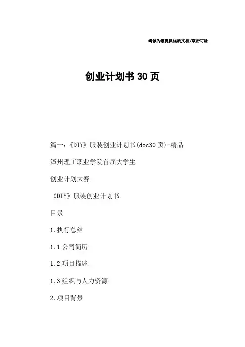 创业计划书30页