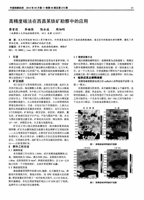 高精度磁法在西昌某铁矿勘察中的应用