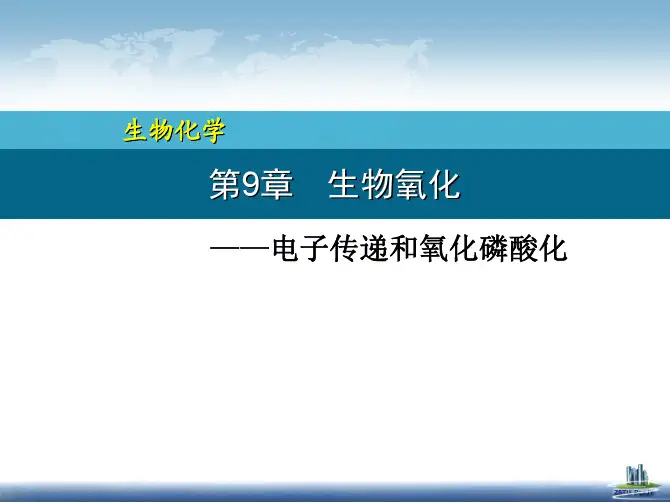 18.电子传递和氧化磷酸化