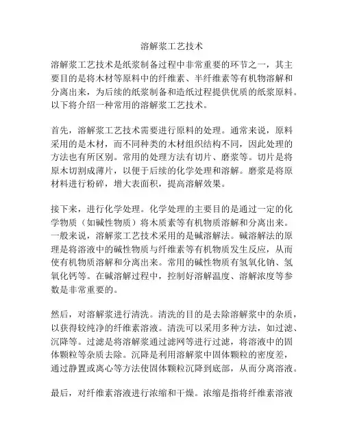 溶解浆工艺技术
