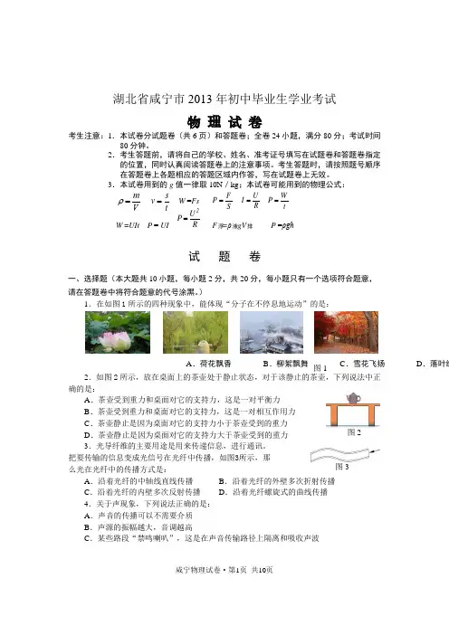 湖北省咸宁市2013年中考物理试题(word版,含答案)