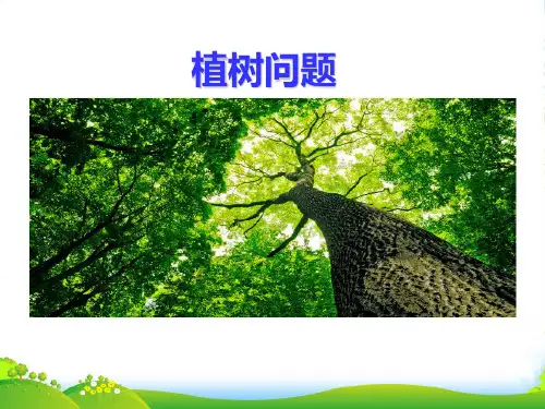 苏教版四年级下册数学课件9.5 植树问题 (共17张PPT)