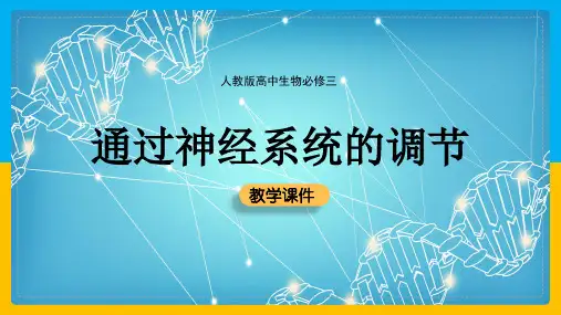 高中生物人教版必修三《通过神经系统的调节》课件