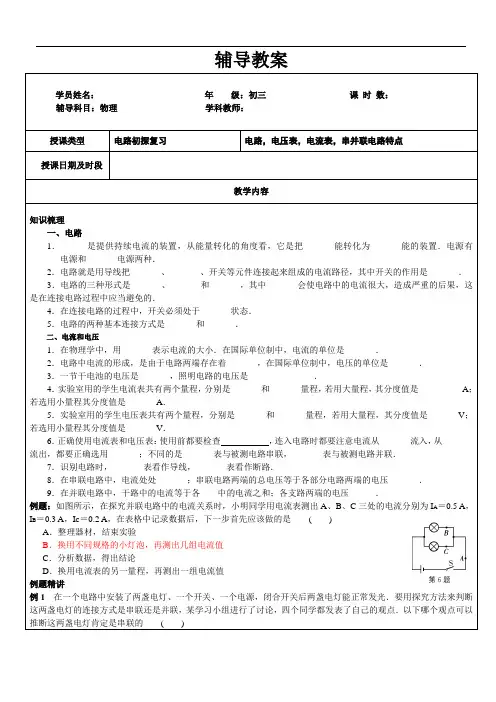 初三物理教案-电路初探复习教案 (5)