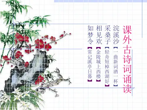 2018年新人教部编本八年级上册课外古诗词诵读《浣溪沙》《采桑子》《相见欢》《如梦令》