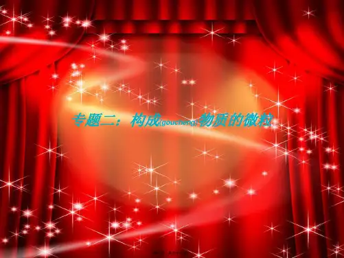 中考化学总复习专题二构成物质的微粒
