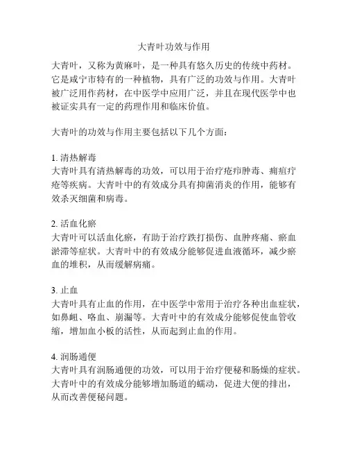 大青叶功效与作用