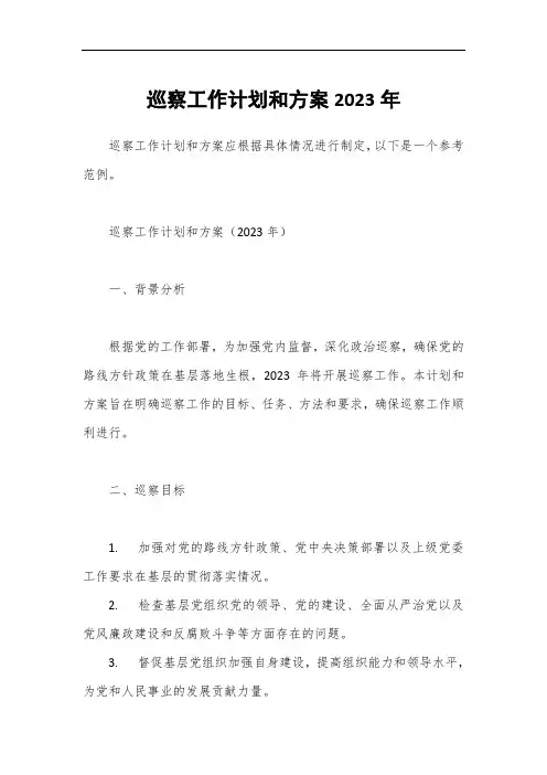 巡察工作计划和方案2023年