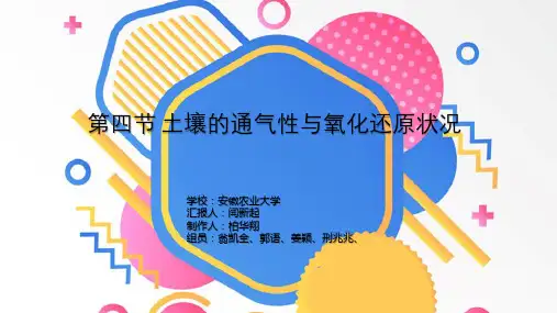 第四节 土壤的通气性与氧化还原状况