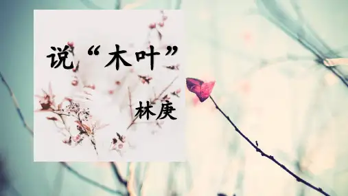 《说“木叶”》ppt课件