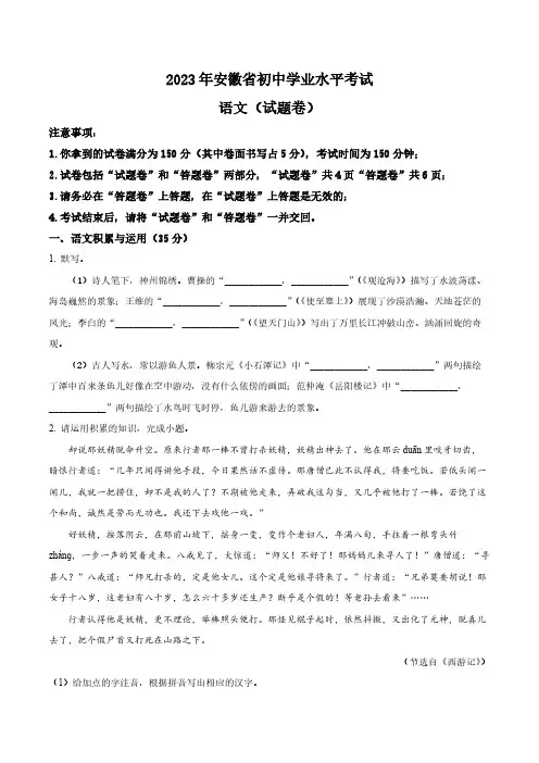 2023年安徽省中考语文真题卷(含答案与解析)
