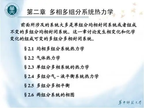 2. 1  均相多组分系统热力学