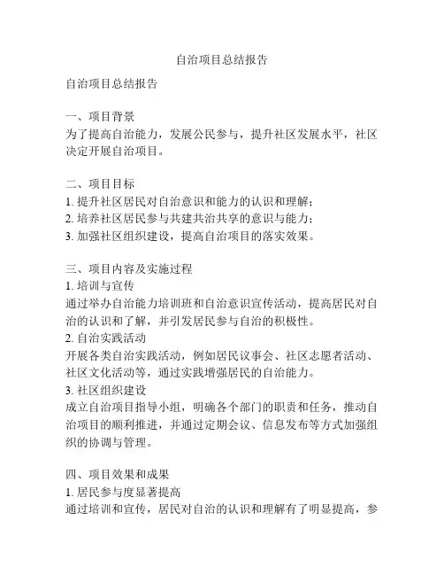 自治项目总结报告