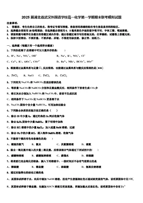 2025届湖北省武汉外国语学校高一化学第一学期期末联考模拟试题含解析