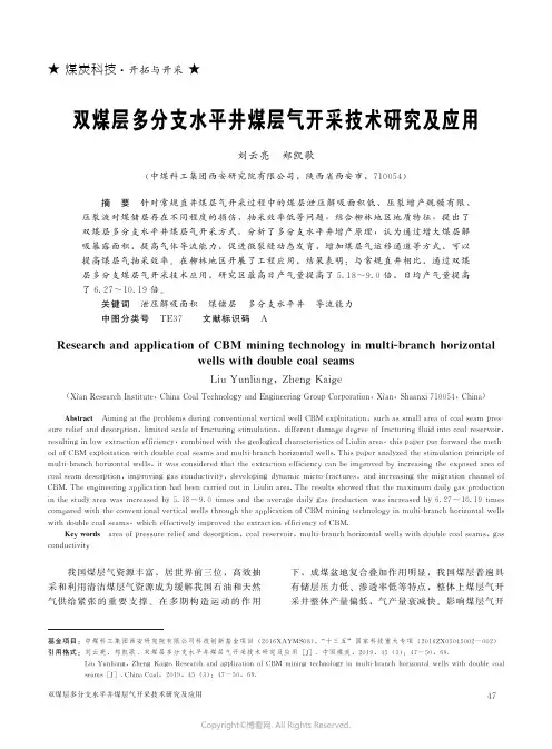 双煤层多分支水平井煤层气开采技术研究及应用